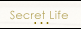 Links